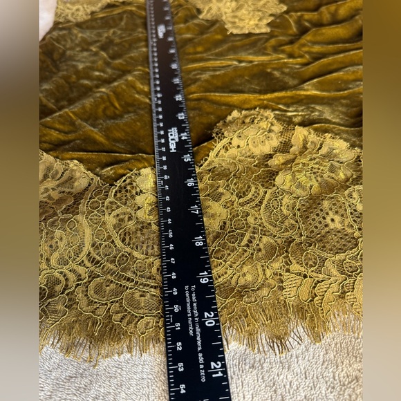 NWT Gold Hawk Anastasia Dk Olive Lace Trim Silk Blend Velvet Camisole XS - Picture 8 of 9